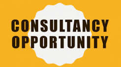 Consultancy Opportunity for Peer Review and Scientific Publication